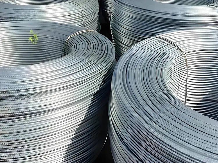 Galvanized sire rod in coil